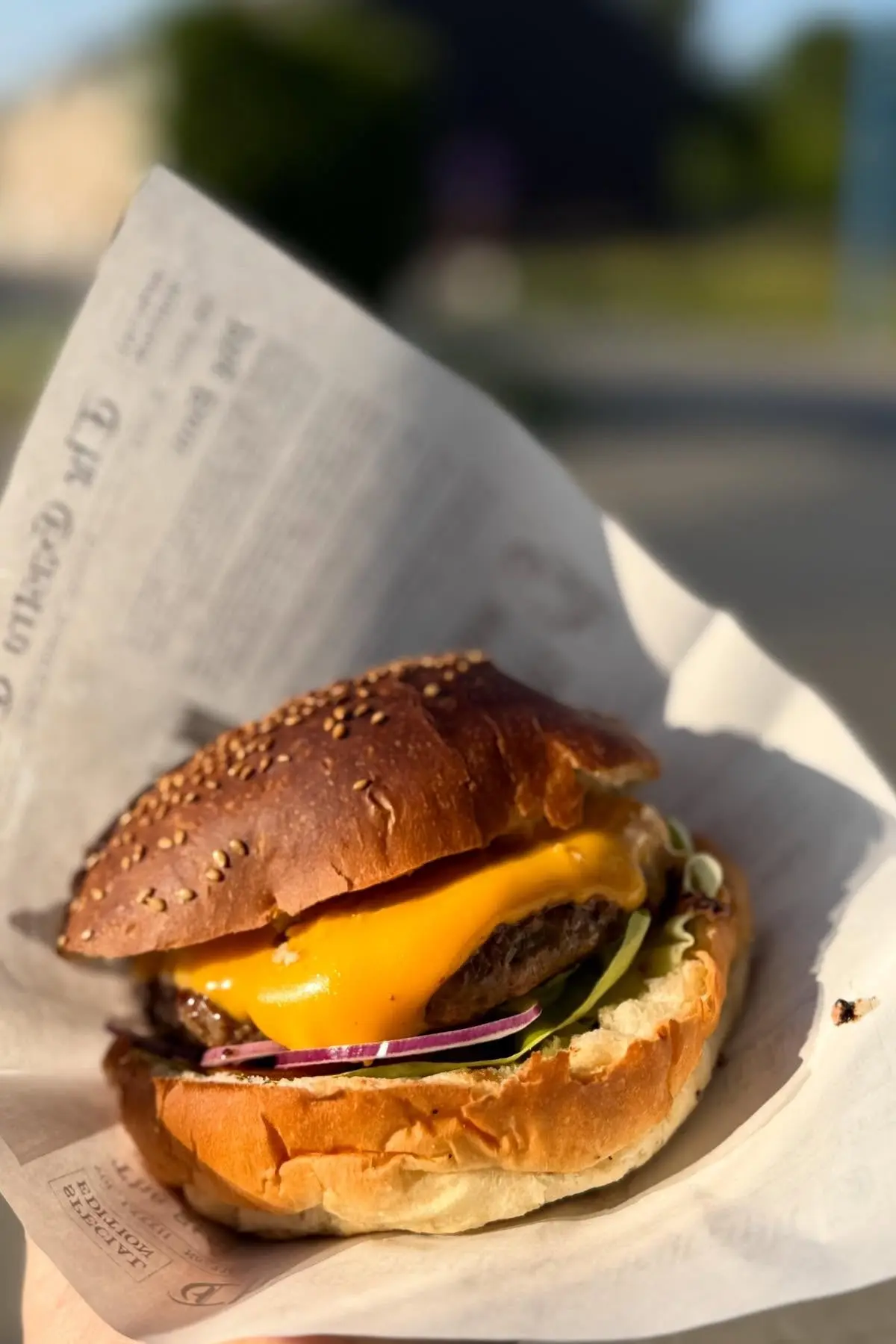 Burger et frites belges dorées de notre friterie à Braine-l'Alleud